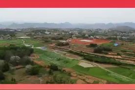 视频|桥头河：人勤春来早 春季萝卜备种忙图片