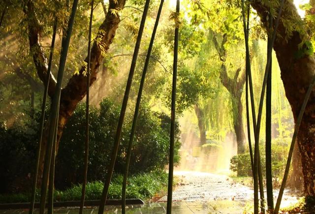 2025 收尾，谁在想念江西这座 “浪浪山”？