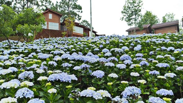 “十四五”砚山答卷 | 锚定生态优先 绘就旅游发展新图景