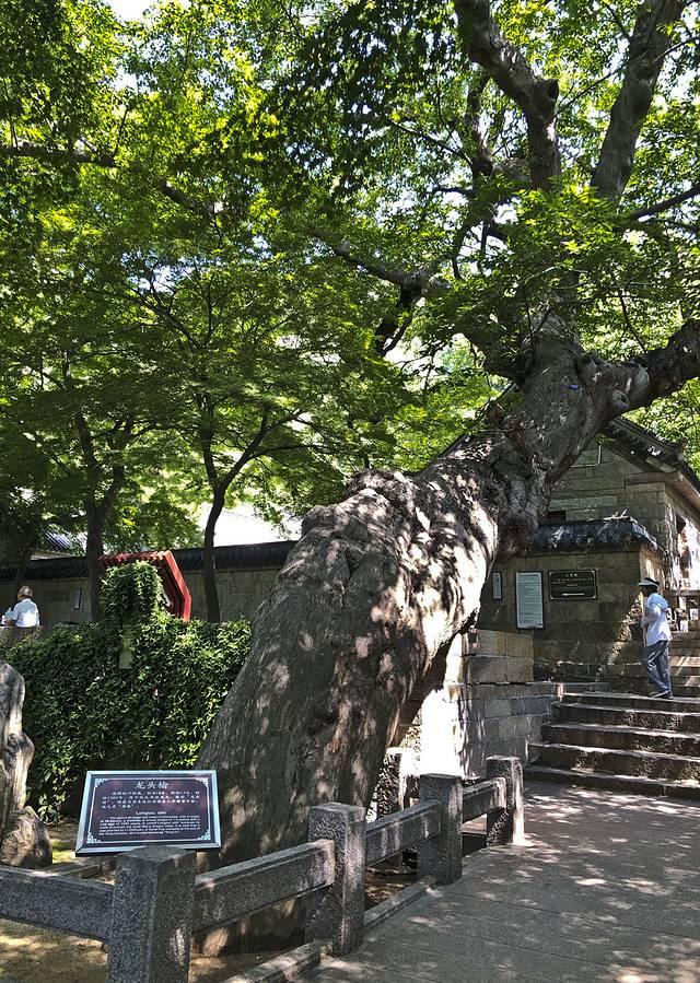 从晨光到夜色，收获一座城的温柔