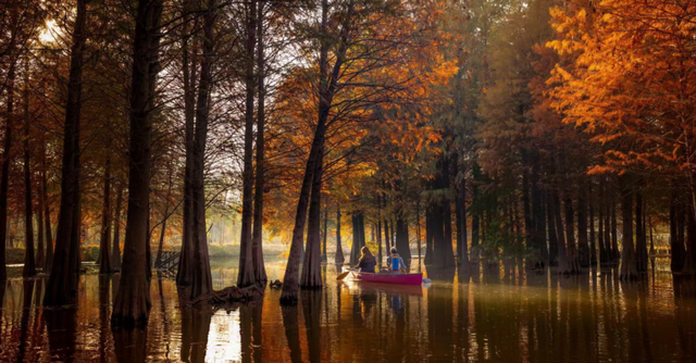 上新啦！魔都这些地方又有新玩法