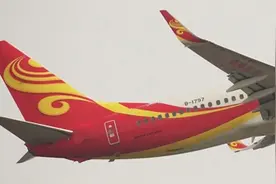 海航一航班发动机遭鸟击返航，航班遭鸟击到底多危险？图片