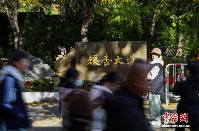 辽宁丹东金色世界的秋日画卷