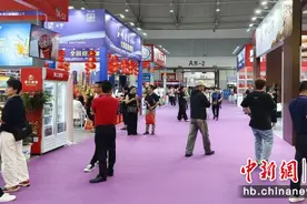 2024第15届中部（武汉）糖酒食品博览会开幕图片