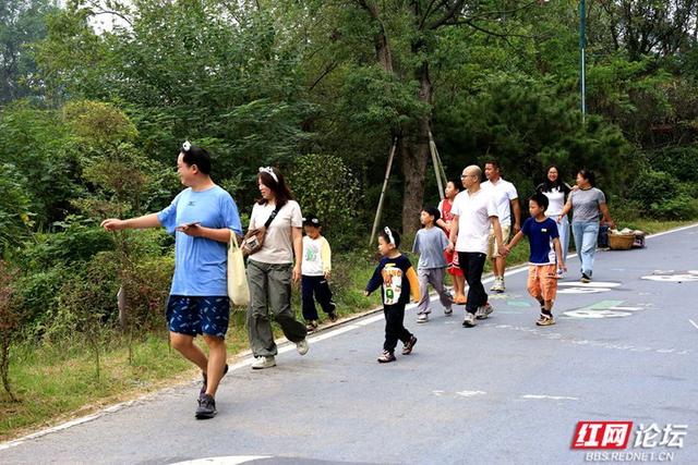 打卡岳阳熊猫苑：赶山路口前的喧响与向往