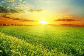 大宋状元|大宋状元张唐卿，为何被司法界视为“缓刑”判决鼻祖？图片