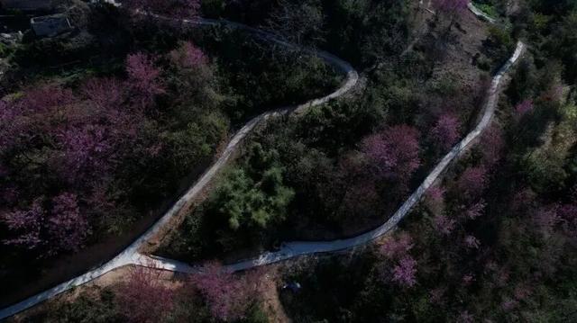 秋冬，来红河旅居吧！