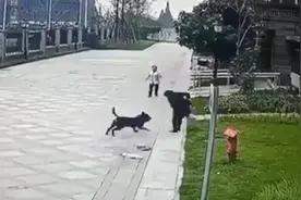 “成都恶犬咬女童事件”后续：保洁员获见义勇为称号图片