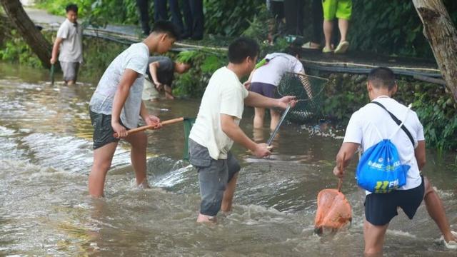 畅游诗画云舍！摸鱼、逛市集、蹦电音……