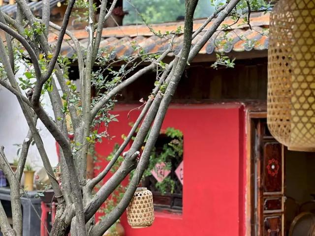 昆明人私藏的治愈系中式庭院就在金殿后山
