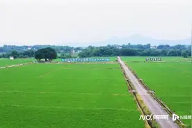 “多田套合”！全省5个试点韶关一地入选图片