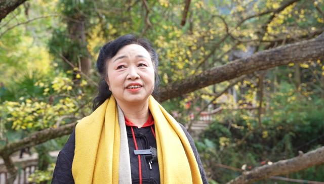 山村尽带黄金甲 古树银杏醉妥乐