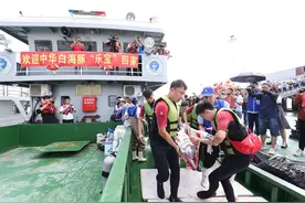 “乐宝”回家啦！搁浅中华白海豚成功放生回厦门保护区图片