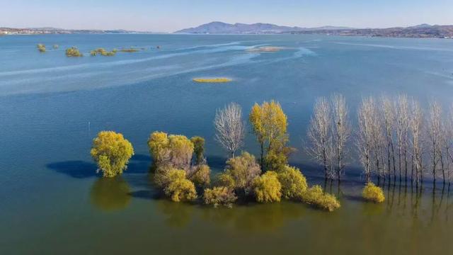 快出门！这些全是洛阳冬日限定！