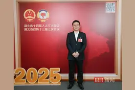 湖北省政协委员李进：建议允许在特定时间特定区域燃放烟花爆竹图片