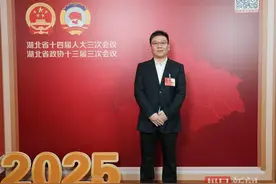 湖北省政协委员李进：建议允许在特定时间特定区域燃放烟花爆竹图片