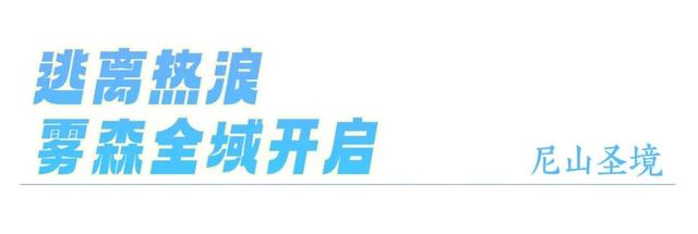 尼山请你看烟花，1000张门票免费送！