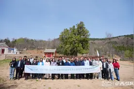 树载千秋·同根同祖｜“先有柏后有观 然后才有洛南县” 全国网络媒体走进页山古柏图片