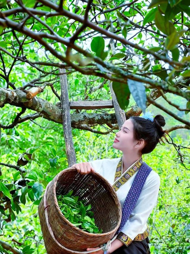 云新闻·滇地宝藏②丨云卷云舒处，云南这座“云端小城”藏着秋日惊喜