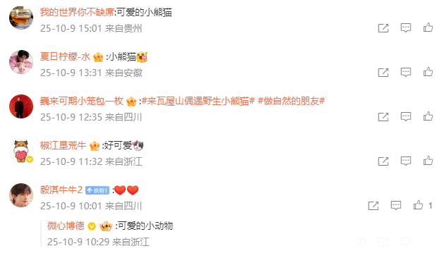 速冲瓦屋山！秋季【拉通免门票】！金秋彩林+秋季限定奖牌+小熊猫奇遇，一样都不少！