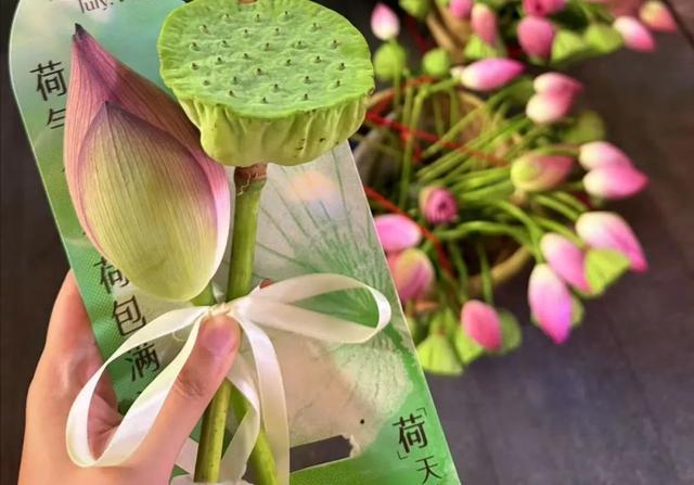 大武汉一日 | 在武汉街头，我接到了夏天的浪漫