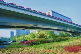 今年北京将建50处“金角银边”微花园图片