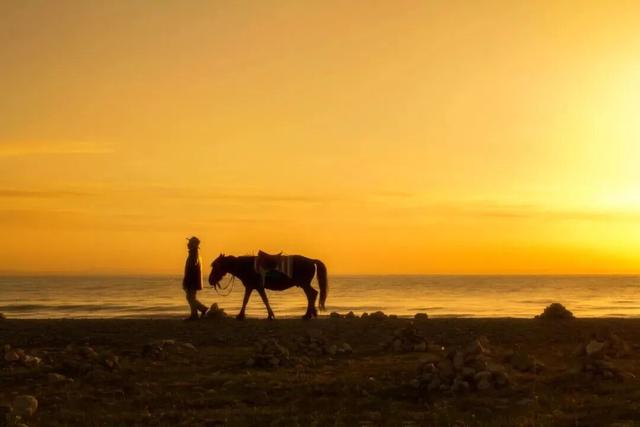 2026大皖研学夏令营·青海篇｜移动城堡房车6日营