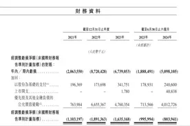 年内港股最大科技IPO地平线上市，多家智驾企业面临亏损难题图片