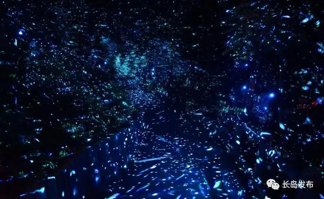星落入海，夜宴仙境：长岛夏夜幻境与舌尖上的海潮交响