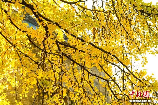 湖北襄阳秋色如画游人如织