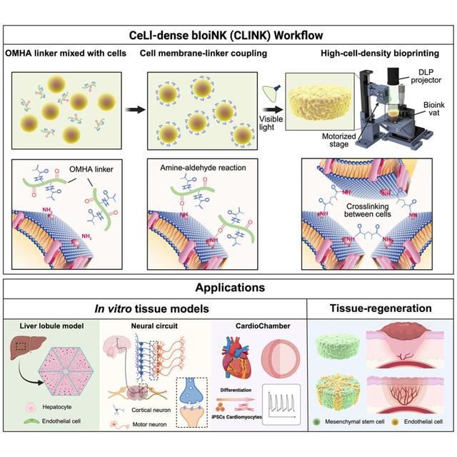 中国大学生，发射了一颗木质外板卫星