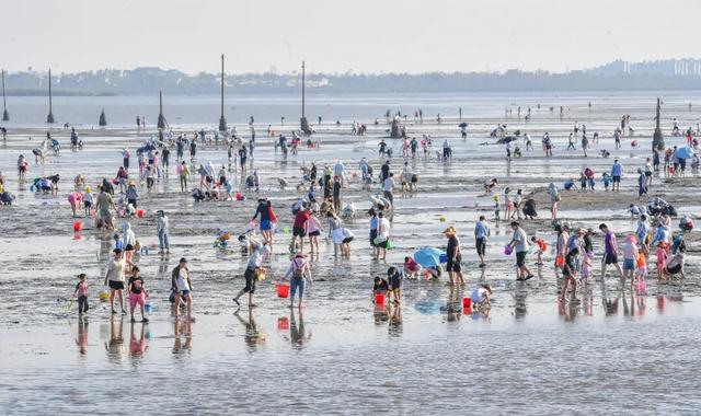 演唱会没嗨够？转场美兰这10个地方！火星人与KatyCats的游玩攻略→