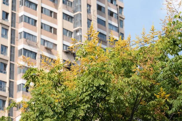 快抬头！秋日限定“天花板”上线啦