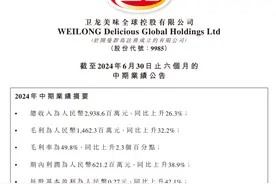 卫龙中期财报：净利润增长38.9%，多品类表现良好图片