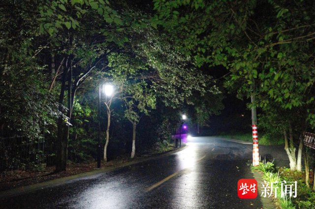 晚上回家不怕黑了！镇江南山新增仿古路灯，点亮夜行路