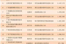 2024广西制造业民营企业100强榜单发布图片