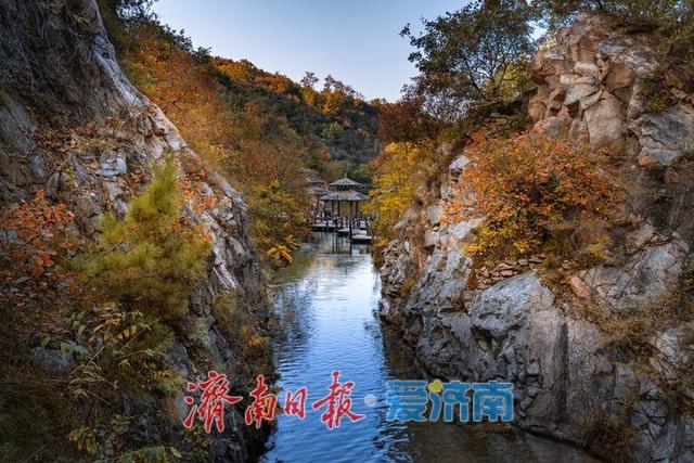 一年四季 泉在济南丨济南九如山：秋日斑斓如诗画，手工体验让秋天 “触手可得”