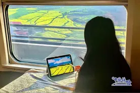 高铁F座为什么最受欢迎？12306客服确认图片