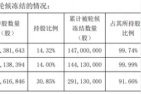 四环生物实控人股份超90%被冻结，“阳光系”何去何从？图片