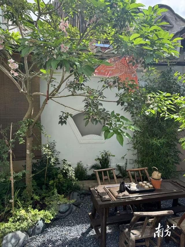 在揭阳古城的百年老宅“巢院”慢煮时光