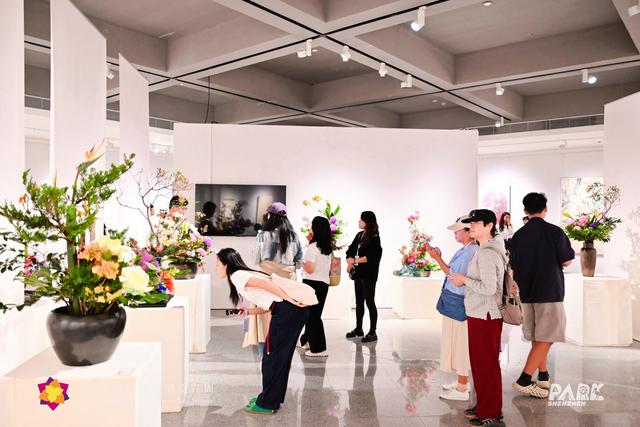 15天，125.95万人次，深圳簕杜鹃赏花周火爆收官！