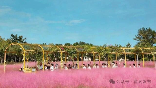 山东日照莒县国庆假期亮点纷呈：文化有深度、体验有温度、游玩有乐趣