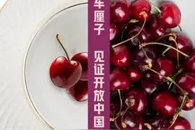 尺素金声｜“明星”水果车厘子，见证开放中国带来的世界机遇图片