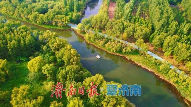 一年四季 泉在济南丨初秋画卷徐徐展开，济西湿地引客来