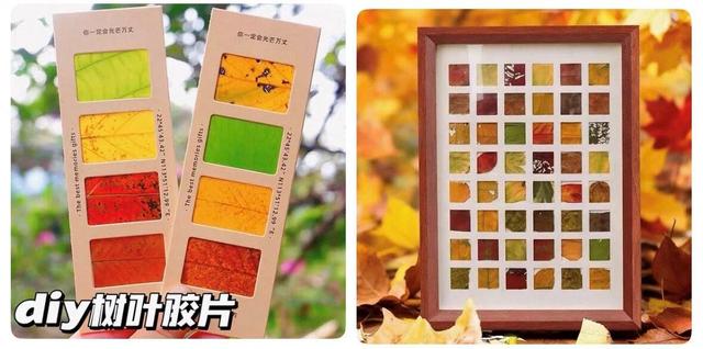 这场不等人的浪漫，有新玩法