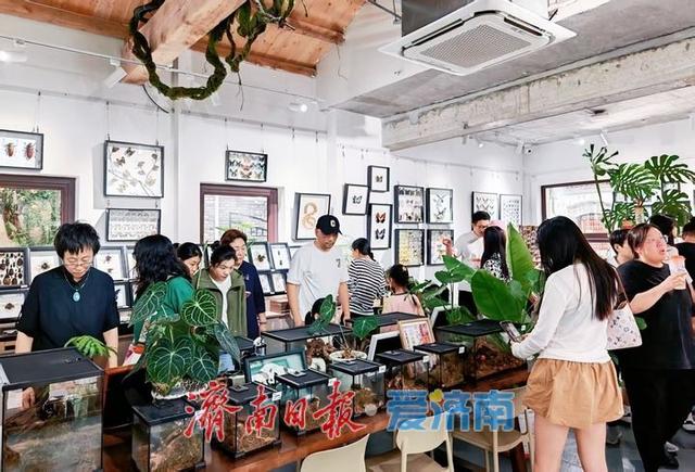 一年四季 泉在济南 |泉畔新章，于此上新——百年老街端出城市美学生活盛宴