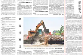 留住一片野菱角，引来一群珍稀鸟图片
