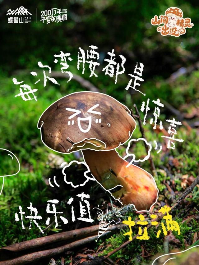 游玩攻略 | 山间精灵出没！快来螺髻山开盲盒