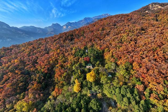 山东泰安山城联动共擎绿色画卷，激活高质量发展新动能