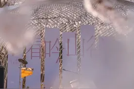 樱花、牡丹、郁金香…2025「赏花指南」来了，抓紧冲→图片